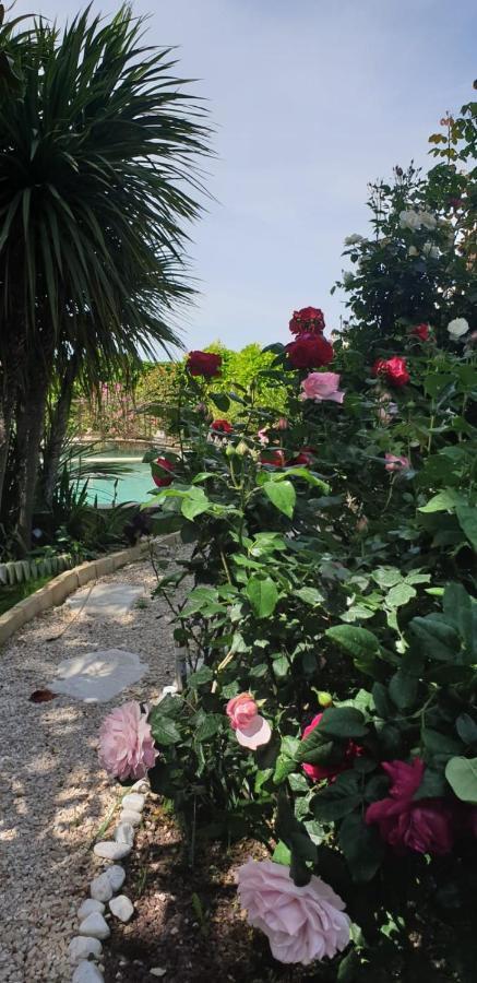 Villa Solary Льо Понте Екстериор снимка